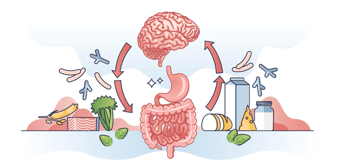 The Gut-Brain Connection