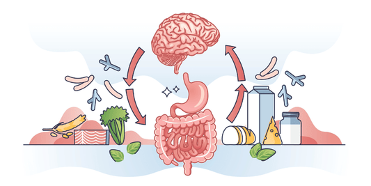 The Gut-Brain Connection